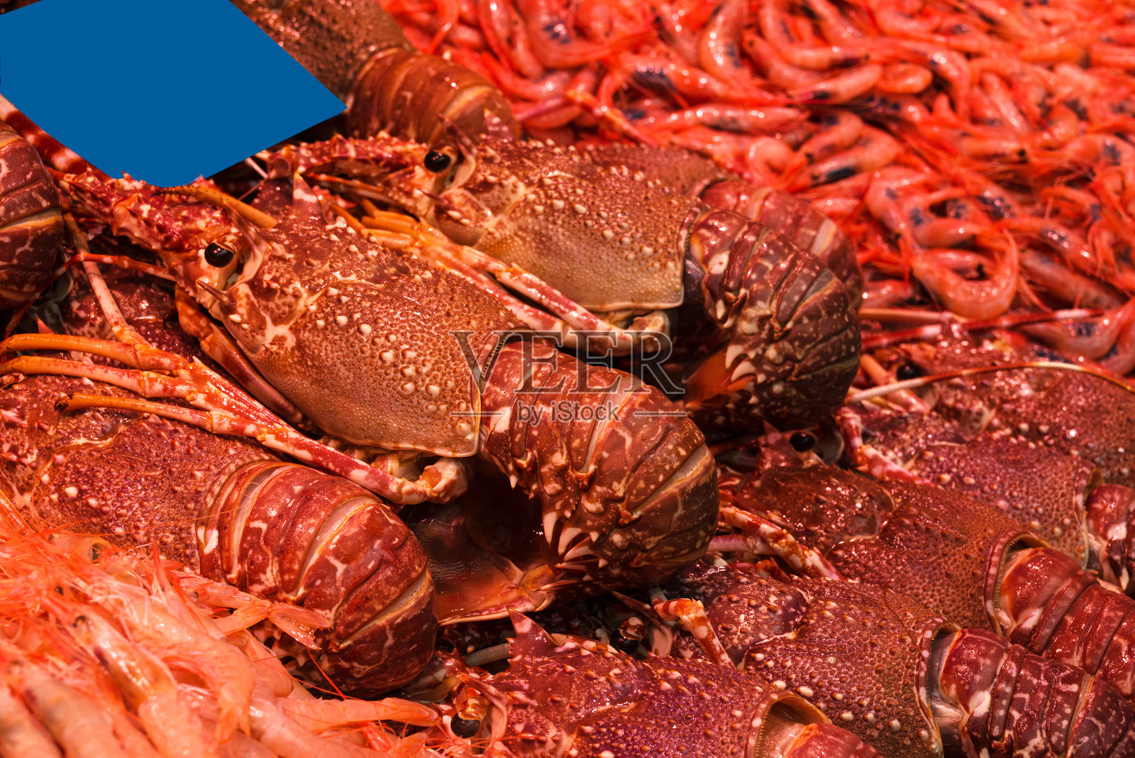 鱼市有许多不同的新鲜鱼照片摄影图片