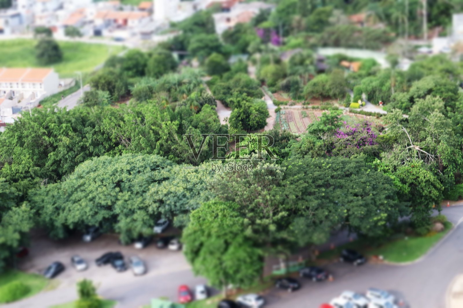 城市景观与乡村照片摄影图片