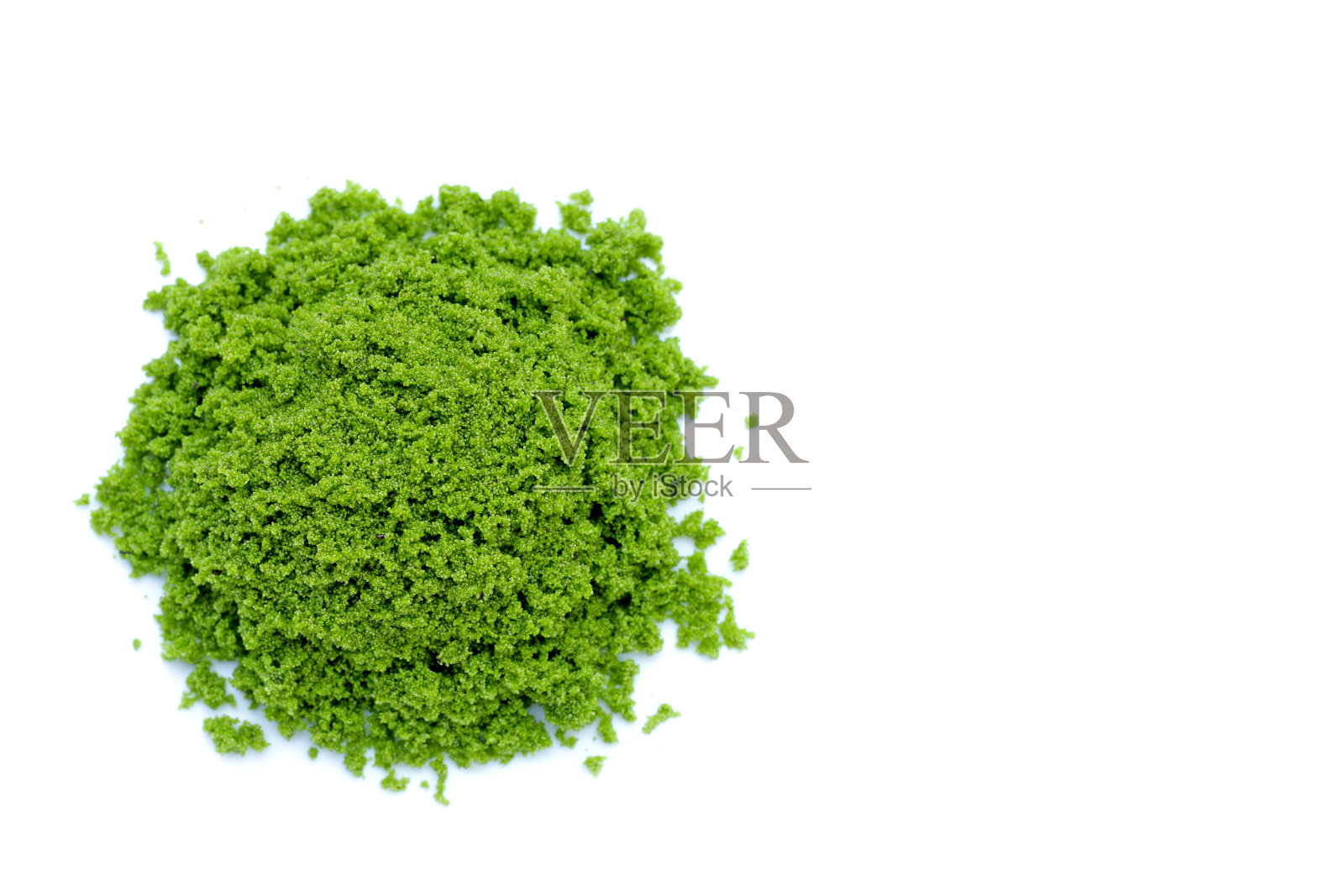 Wolffia globosa或沼泽藻,水粉照片摄影图片