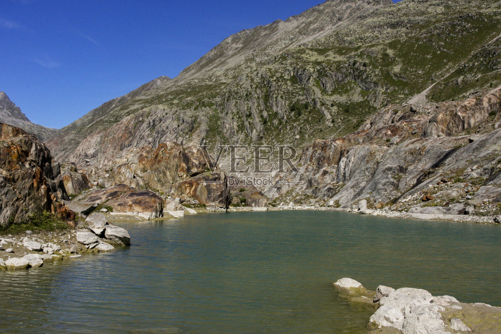 瑞士伯尔尼阿尔卑斯山脉少女峰-阿莱奇保护区照片摄影图片