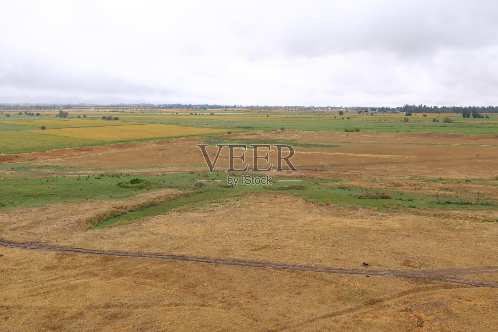 托克马克楚河河谷布拉纳塔尖塔景观照片摄影图片