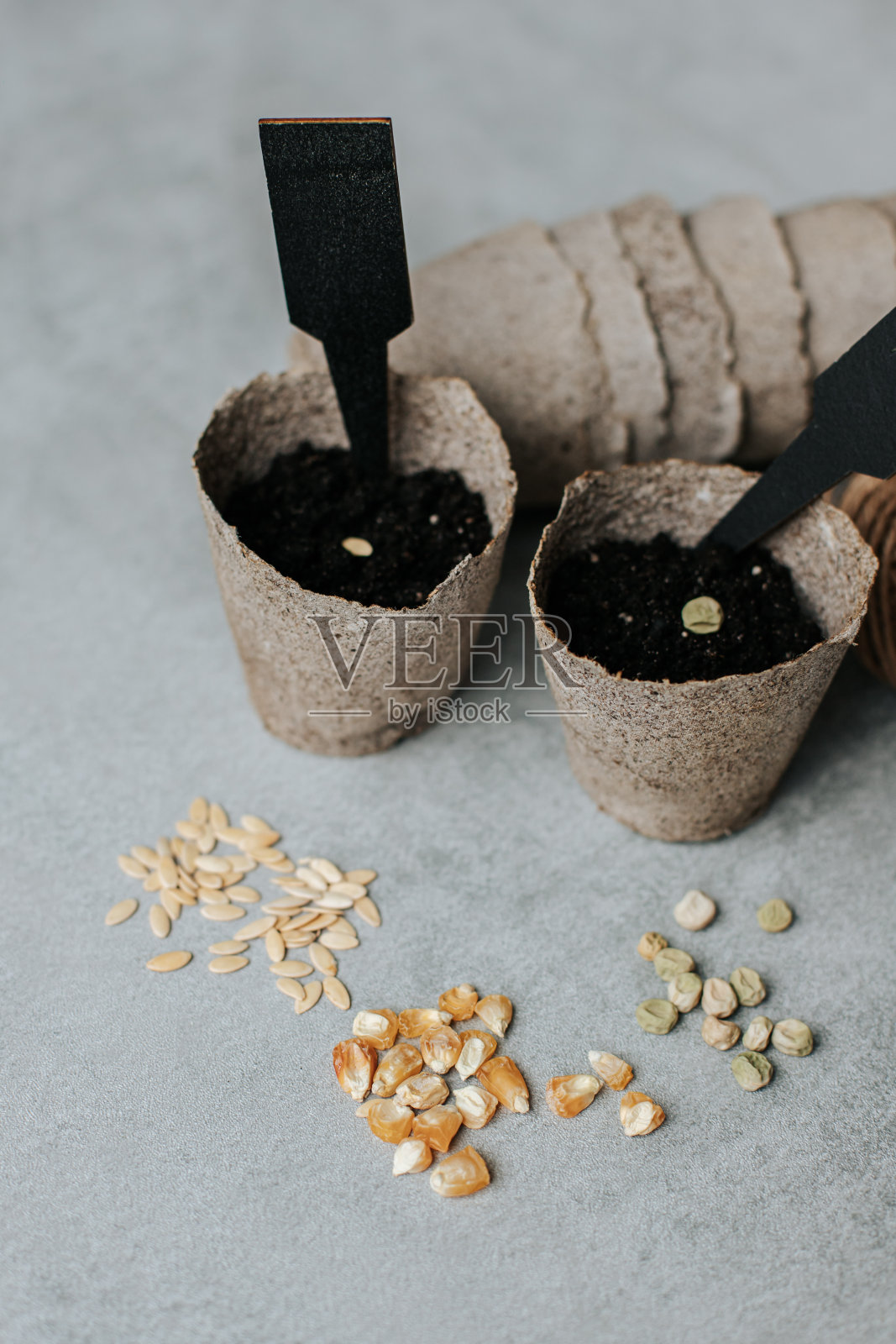 种子照片摄影图片