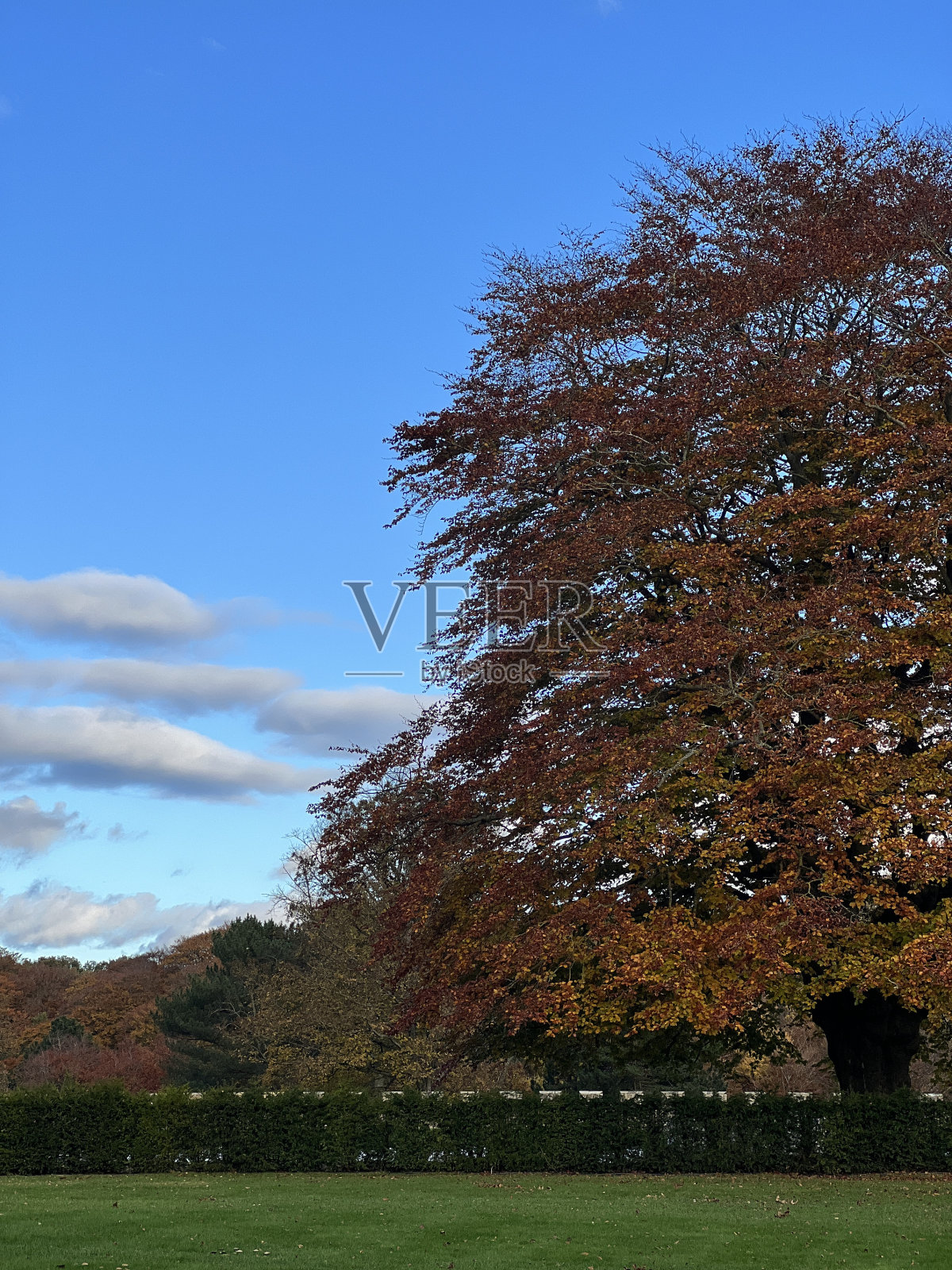 秋天照片摄影图片