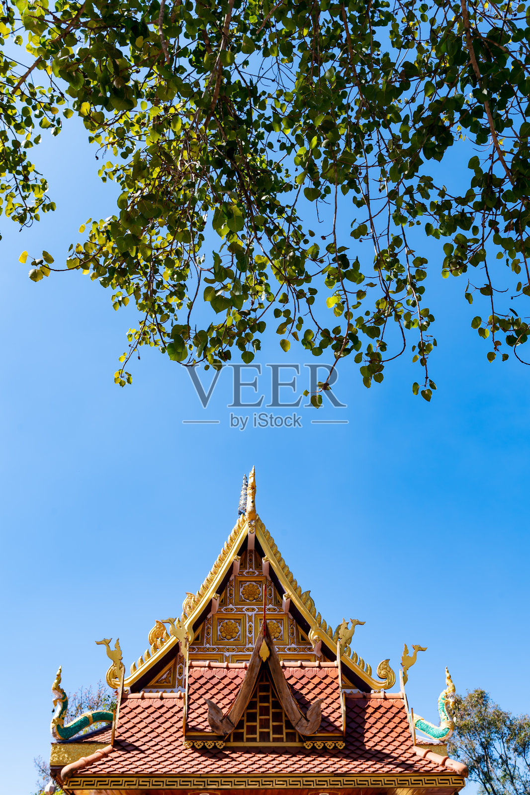 建筑,教堂,寺庙,景观,宗教,历史,寺庙,旅游,地标,旧,旅游,宗教,建筑,教堂,廊花兰布,泰国照片摄影图片