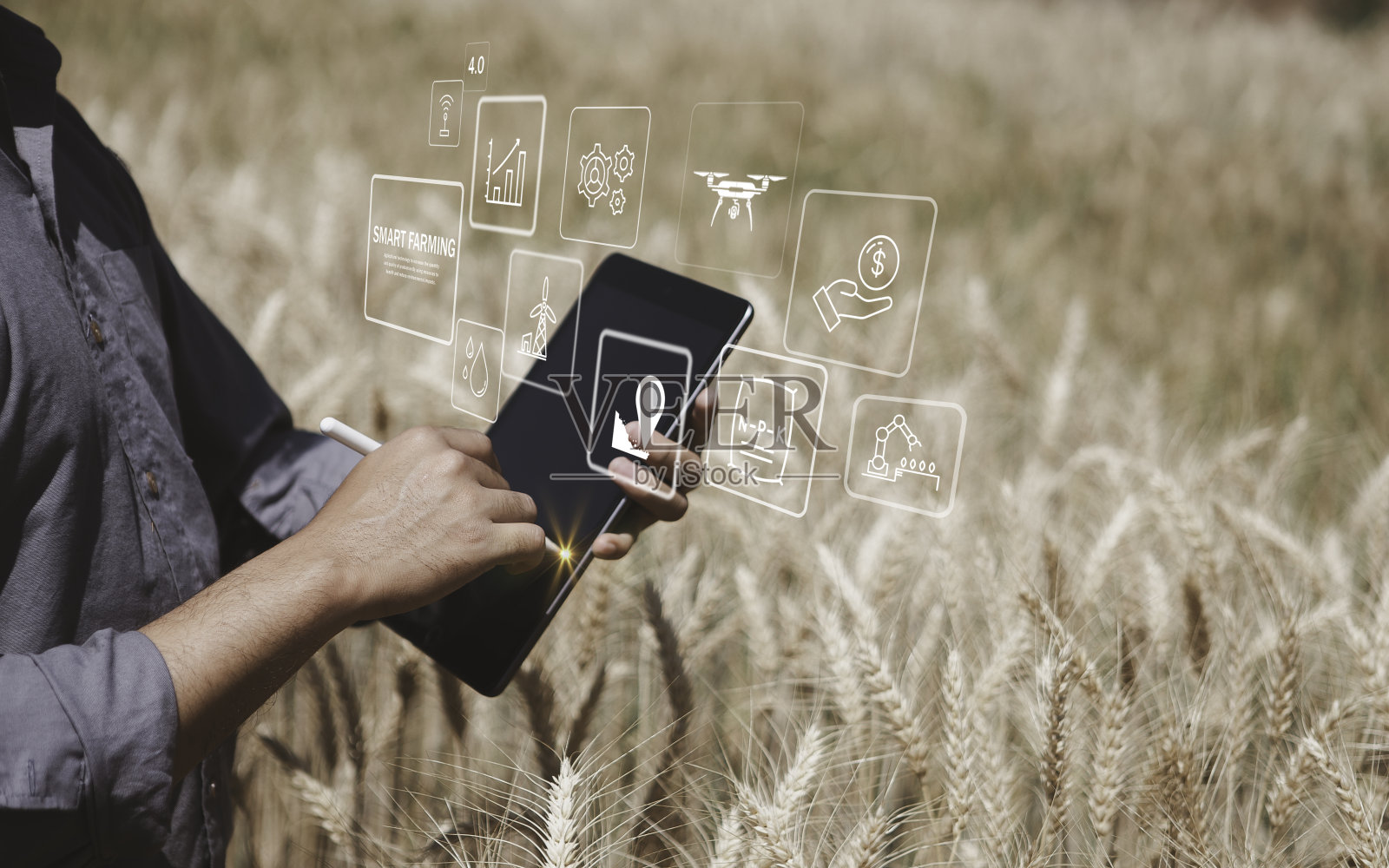 农民检查大麦,并利用农业技术通过平板电脑分析数据智能农业和现代技术的概念,象形图标照片摄影图片