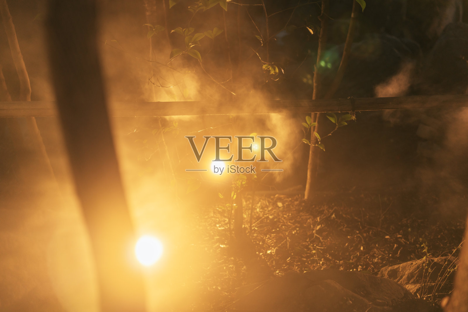 美丽的樱花在东京的花园里绽放照片摄影图片