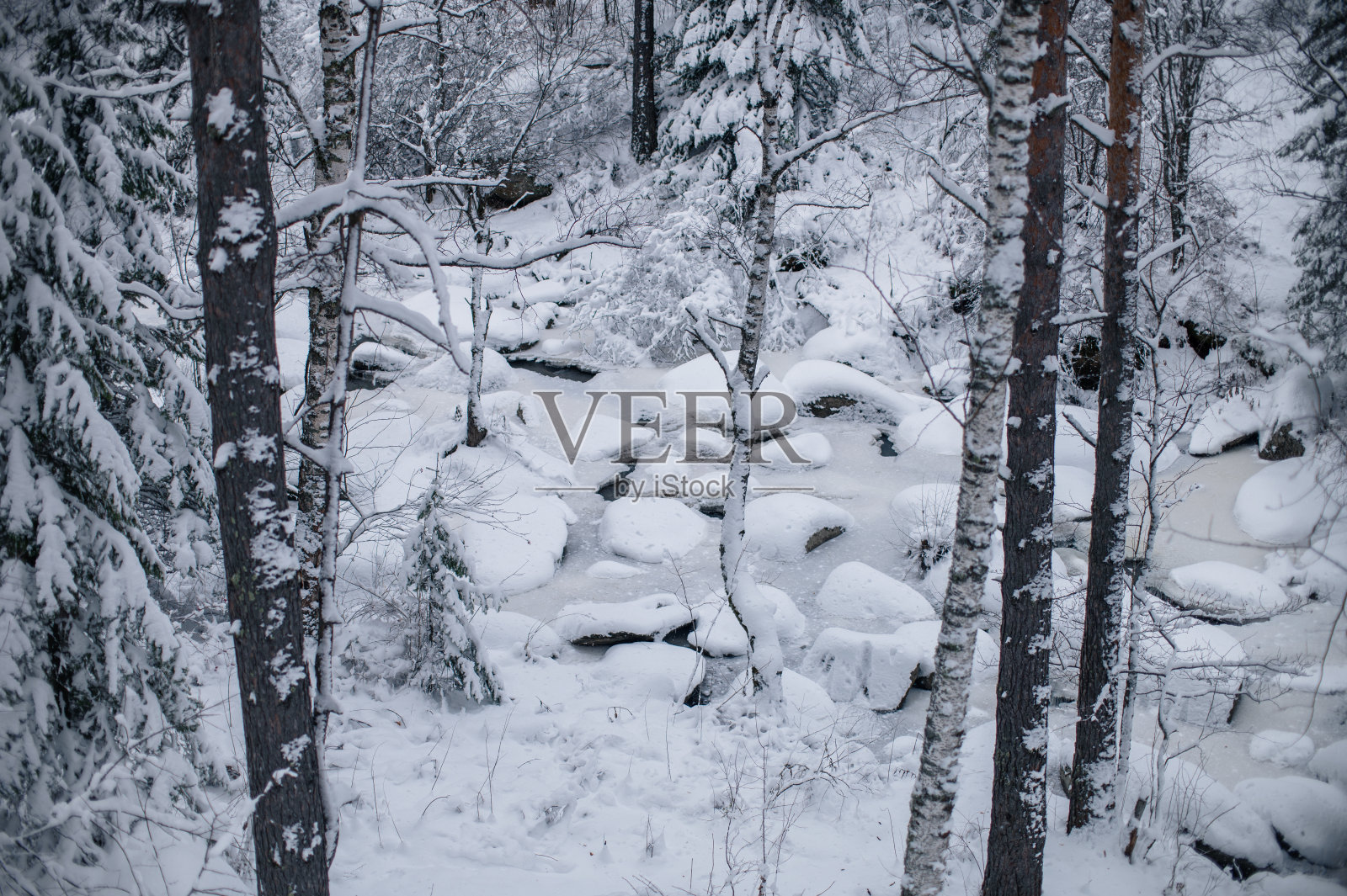 美丽的冬季景观照片摄影图片