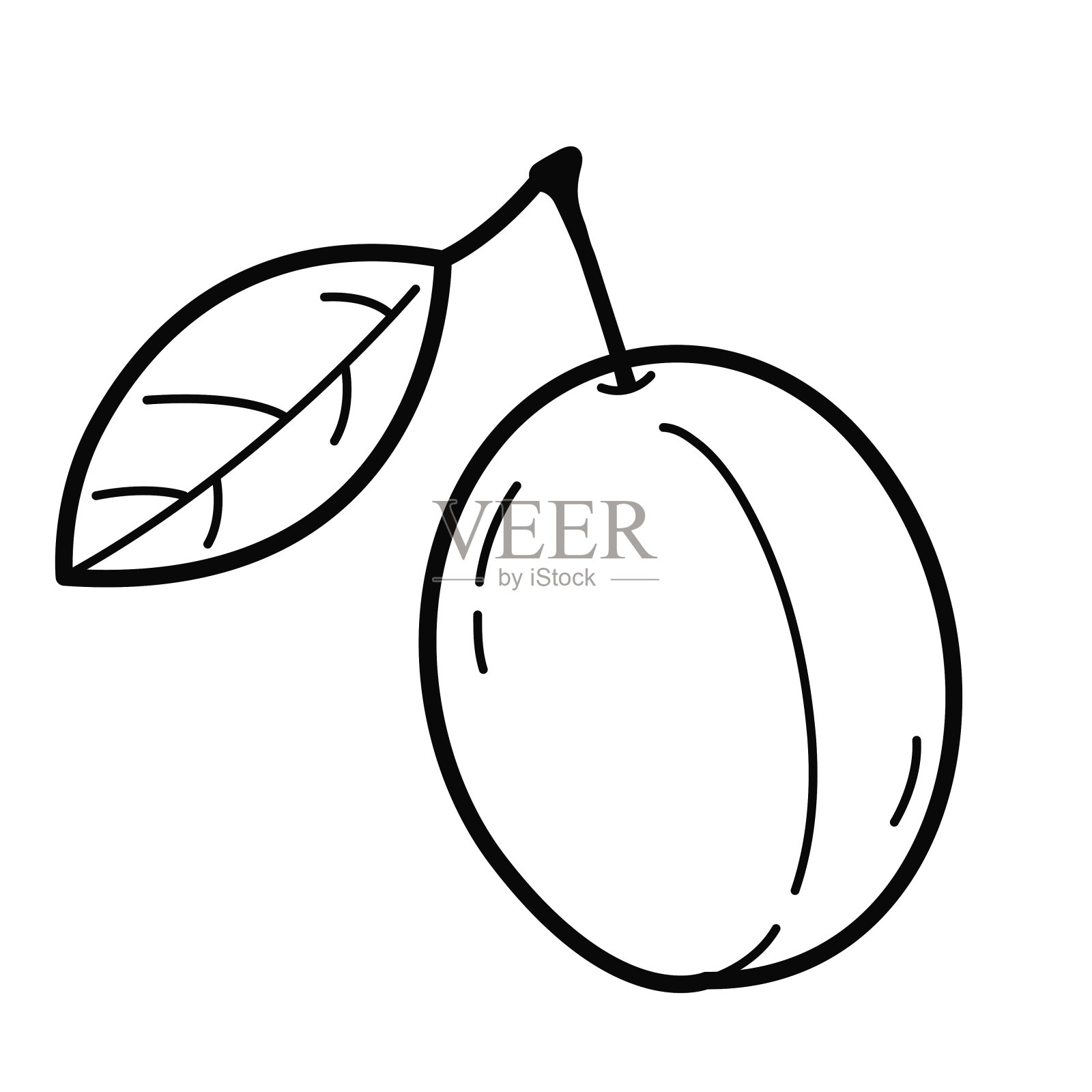 水果。李子。轮廓插图,设计元素。插画图片素材