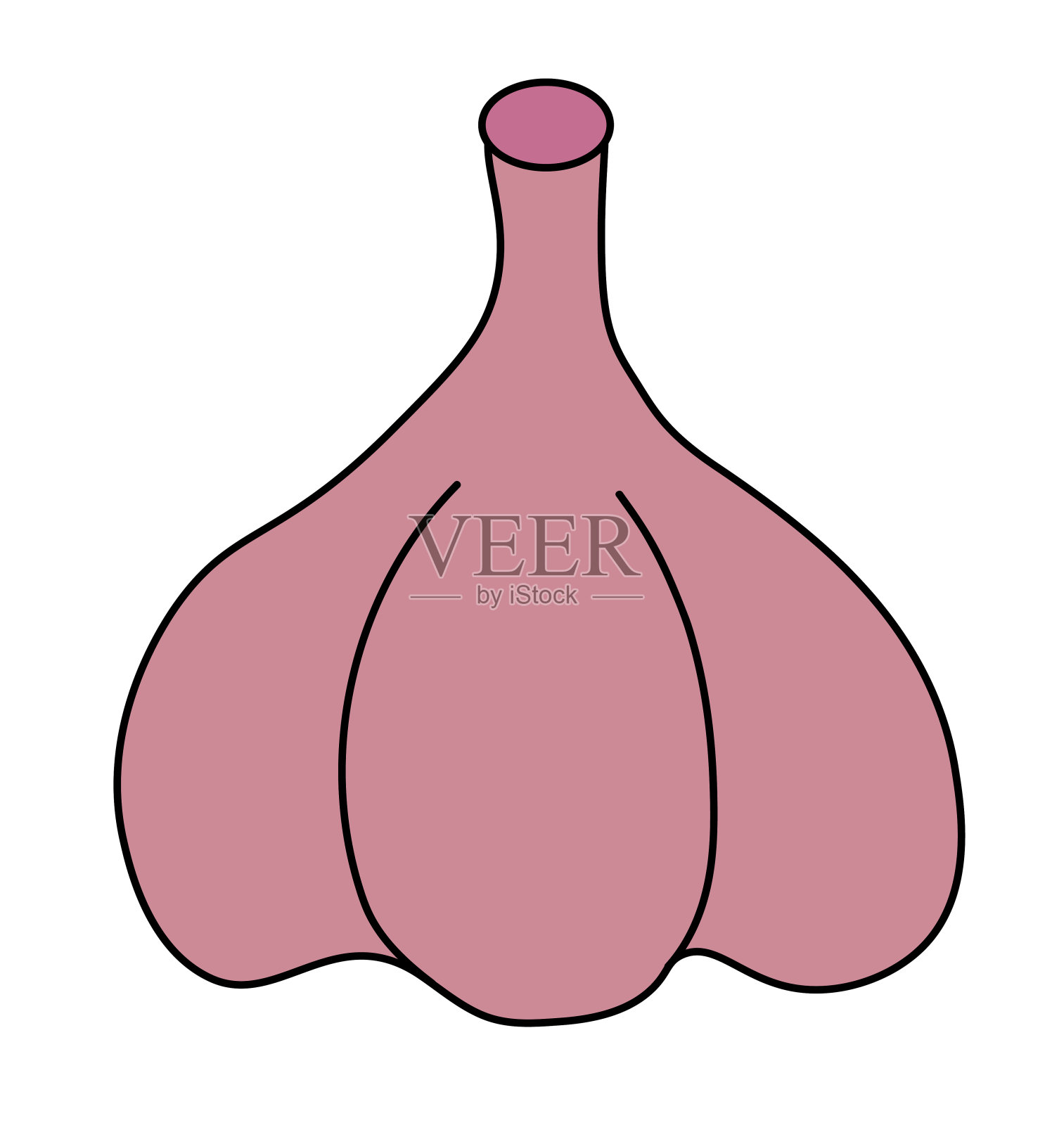 白色背景上孤立的球茎大蒜。矢量平面插图。插画图片素材