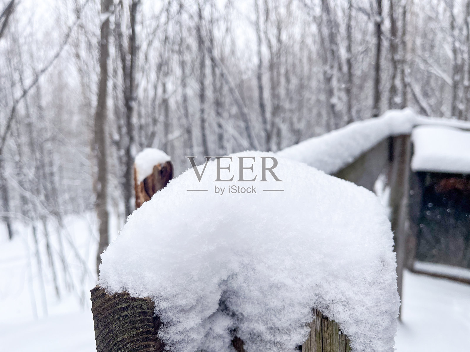 雪地特写照片摄影图片