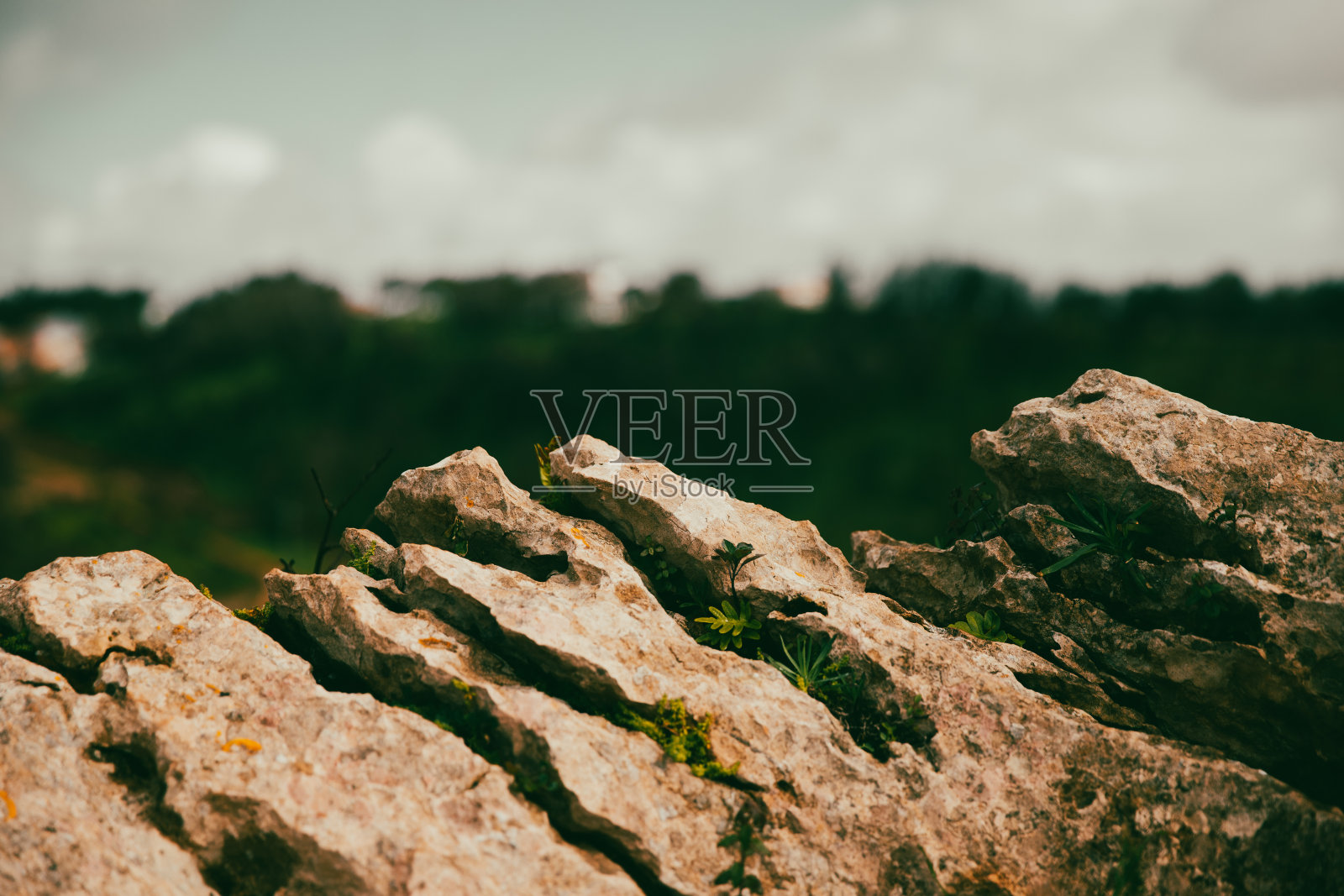 岩石壁纸照片摄影图片