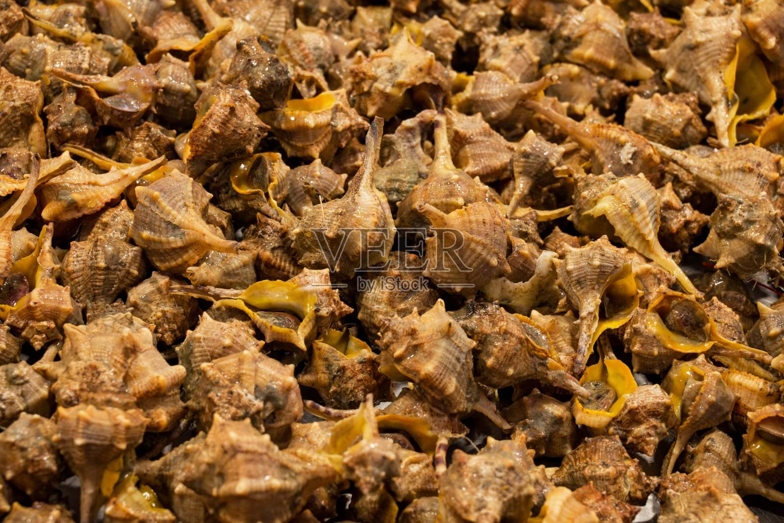 鱼市有许多不同的新鲜鱼照片摄影图片