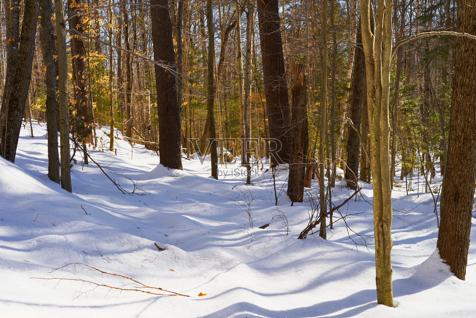 新罕布什尔州的雪山照片摄影图片