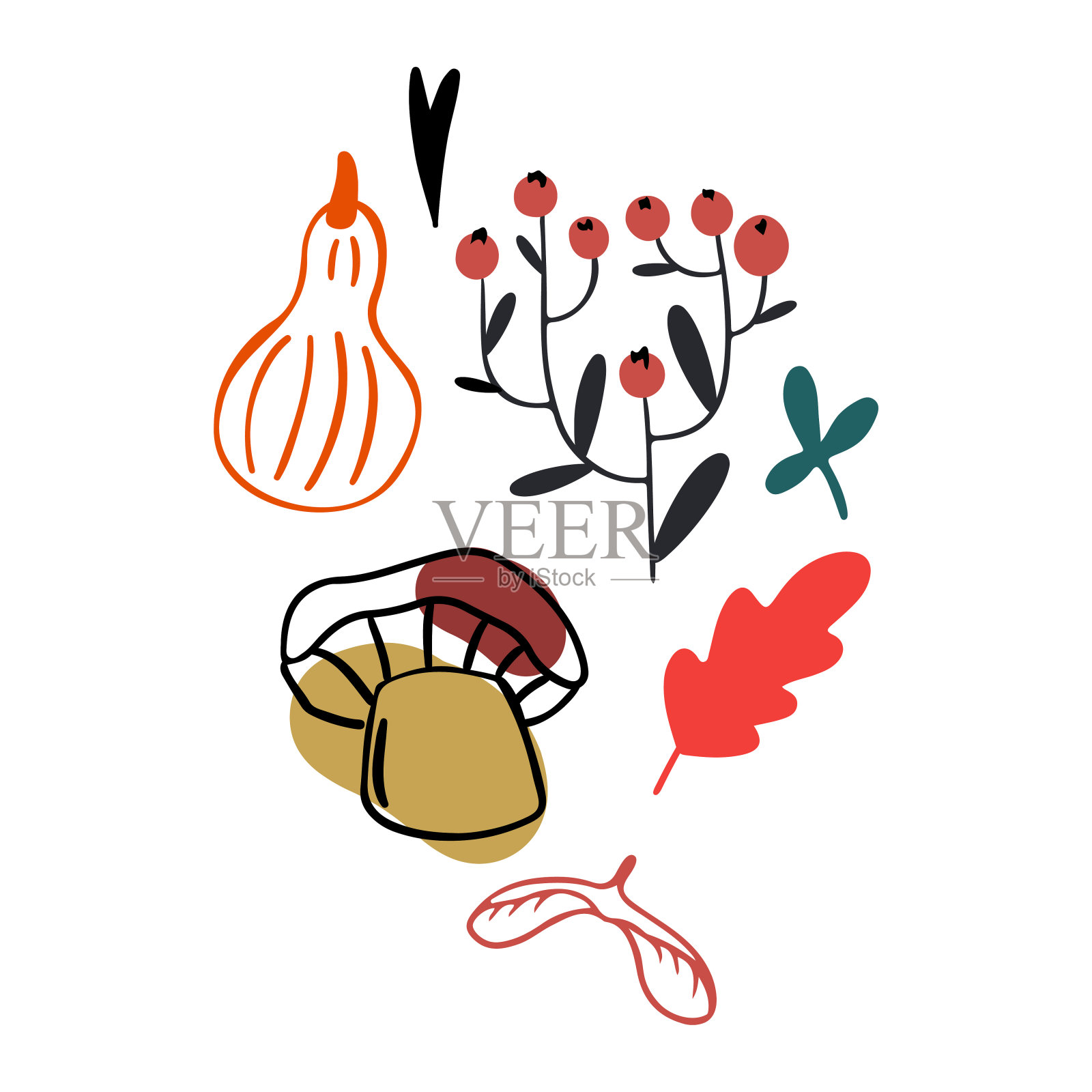 扁平风格的秋季设计,自然秋季元素。手绘蘑菇、酸浆果、树叶和浆果剪贴画。用于明信片、纺织品、网站和社交媒体的白色背景上的独立矢量插图插画图片素材