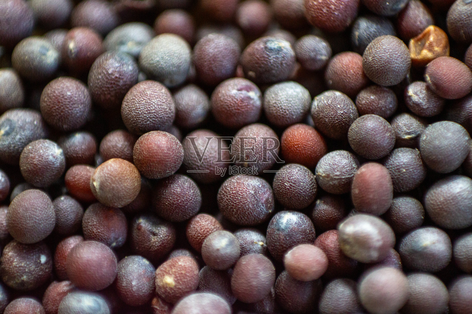 芥菜籽照片摄影图片