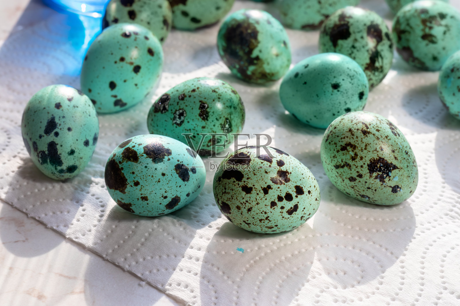 涂上绿松石色的鹌鹑彩蛋。有选择性的重点照片摄影图片