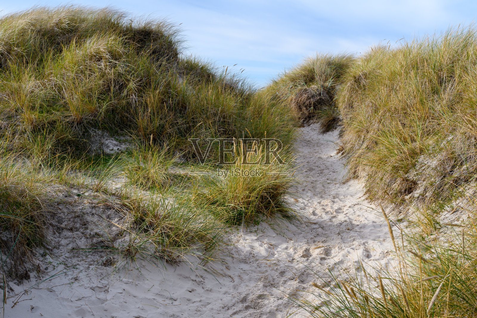 德国北弗里斯兰阿姆鲁姆岛上的沙丘照片摄影图片