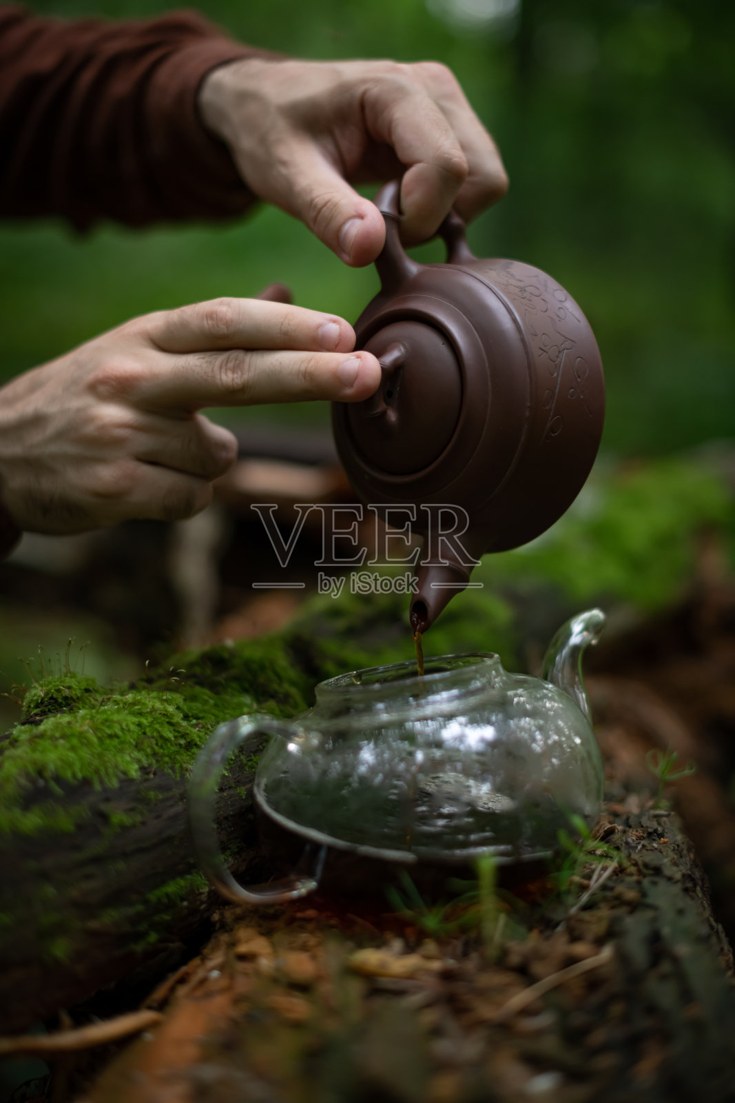 一名男子在长着青苔的原木旁用玻璃杯倒茶照片摄影图片
