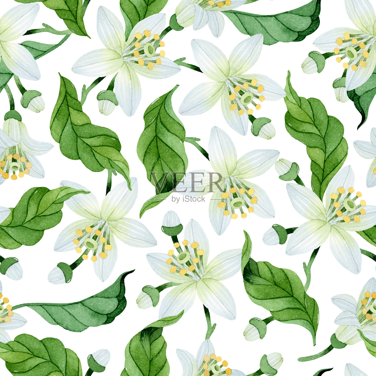 水彩画白花绿叶无缝图案插画图片素材