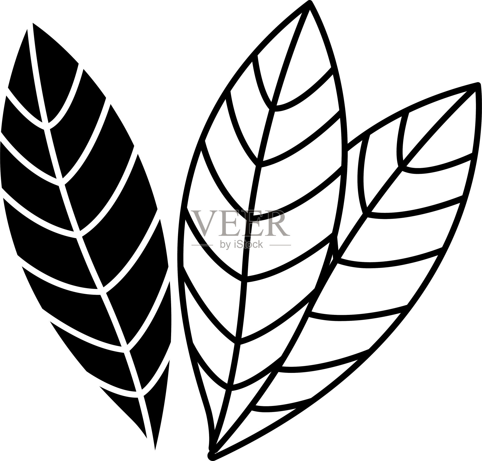 月桂叶字形和线矢量插图插画图片素材