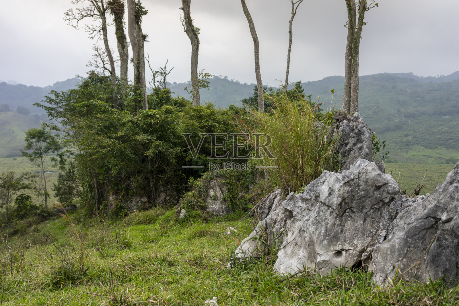 墨西哥圣Cristóbal德拉斯卡萨斯附近的雨林照片摄影图片