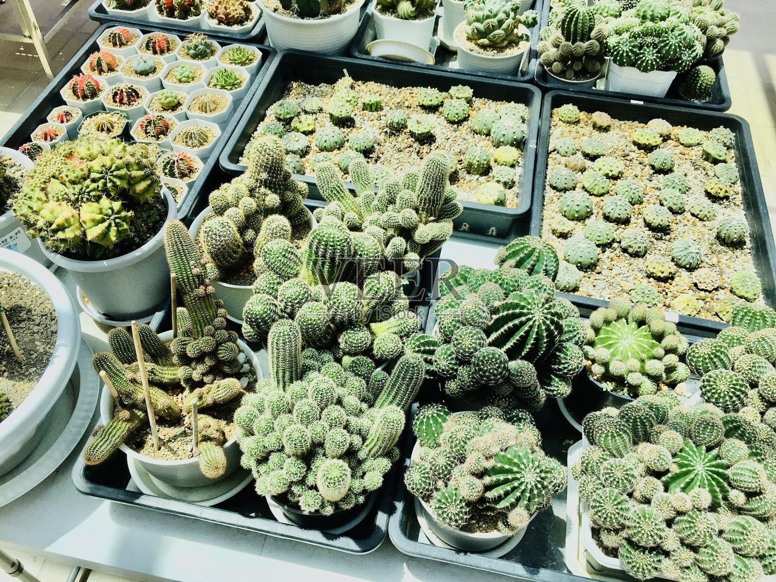 视图照片摄影图片