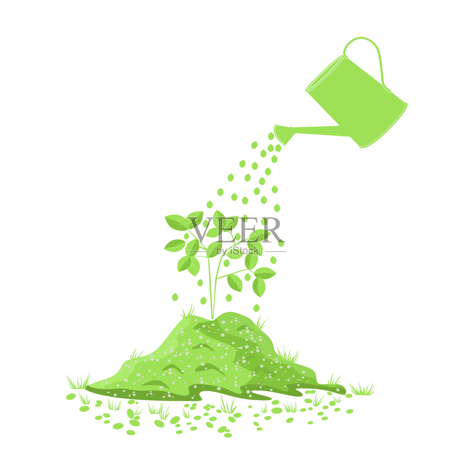 白色背景上孤立的水壶和小树。花卉护理或园林工具的概念。插画图片素材