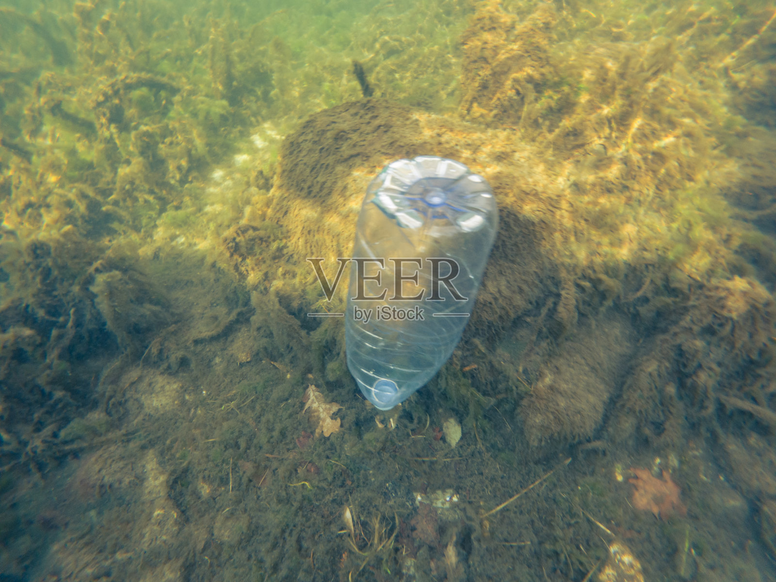 水下塑料污染,瓶装水漂浮在水中照片摄影图片