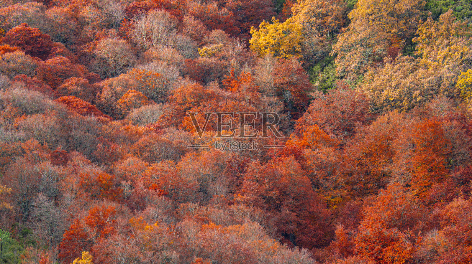 海耶多德拉佩德罗萨自然保护区,西班牙照片摄影图片