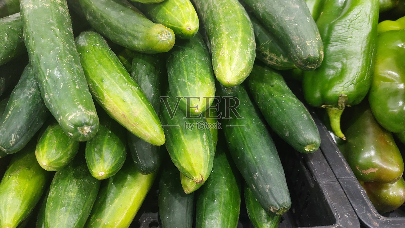 展出的新鲜黄瓜照片摄影图片