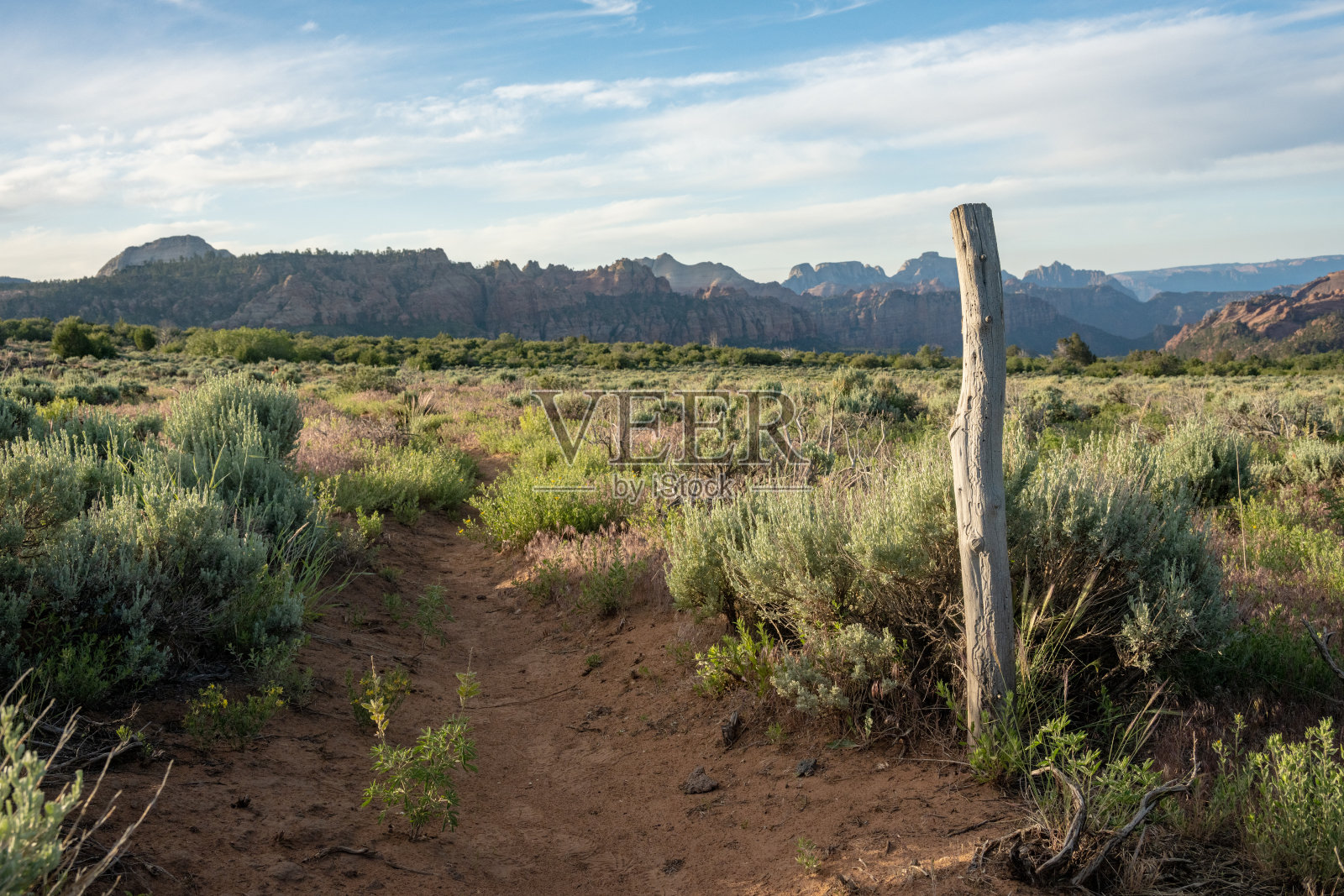 沿着沙小道,栅栏柱孤零零地矗立在沙漠中照片摄影图片