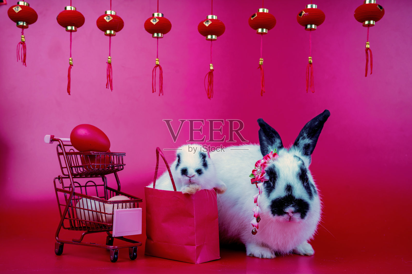 bunny复活节毛茸茸的小兔子或新生的兔子。宝宝可爱的兔子或新出生的可爱的兔子。复活节兔子。复活节的象征。照片摄影图片