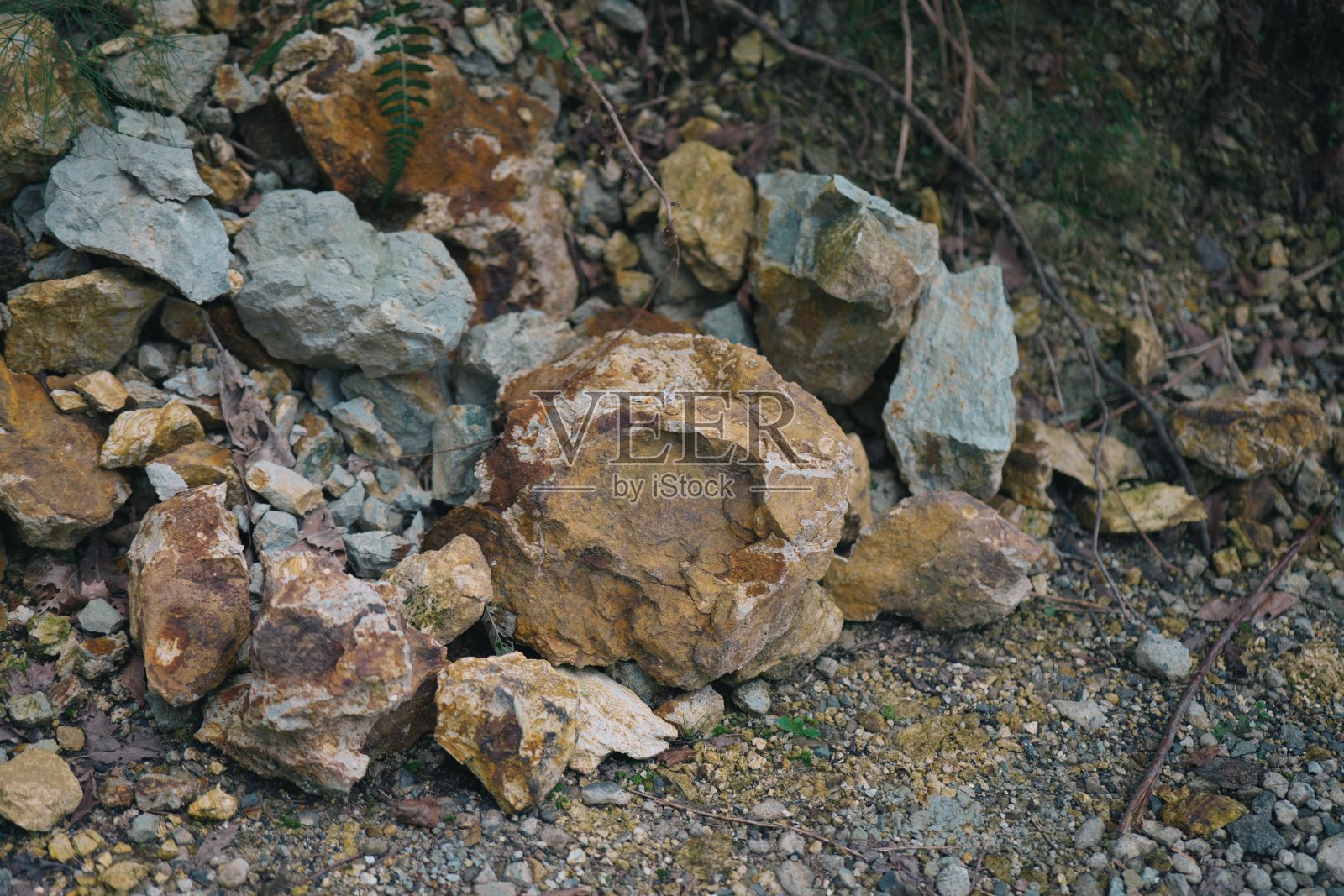 日本的大自然。照片摄影图片