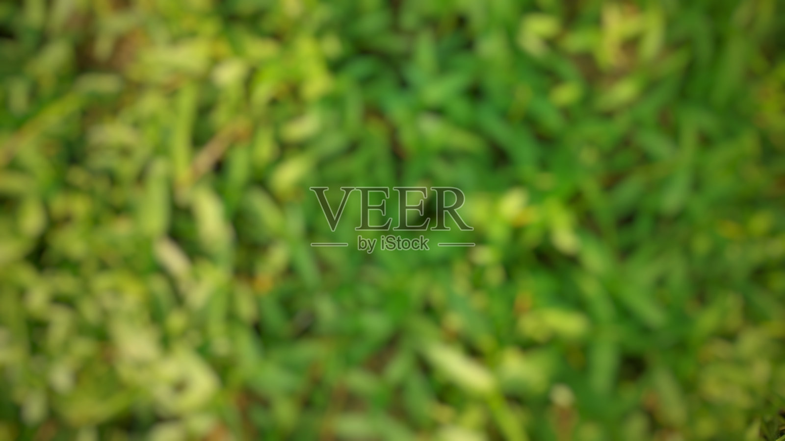 散焦的抽象背景草照片摄影图片