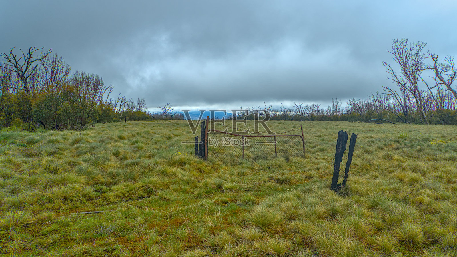 老农场门照片摄影图片