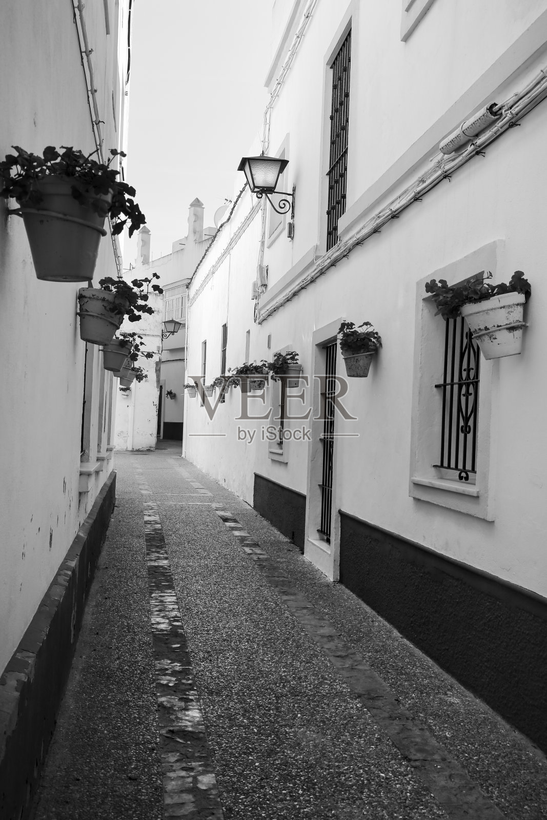 安达卢西亚罗塔市狭窄的街道和种植着盆栽天竺葵的白色外墙照片摄影图片