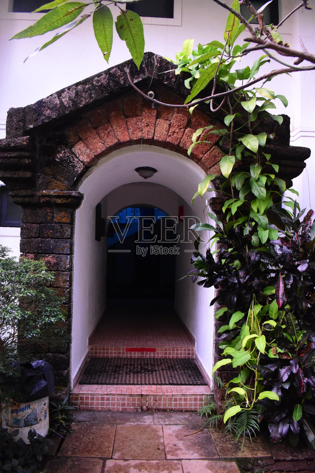 漂亮的白色门,周围是绿叶照片摄影图片