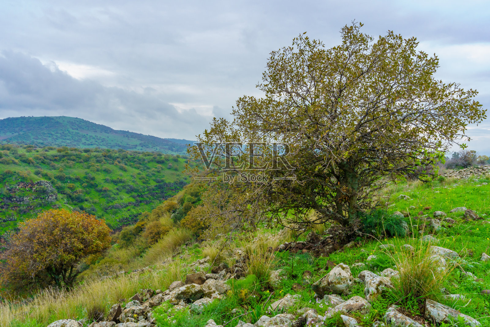 耶胡迪亚山谷,戈兰高地照片摄影图片