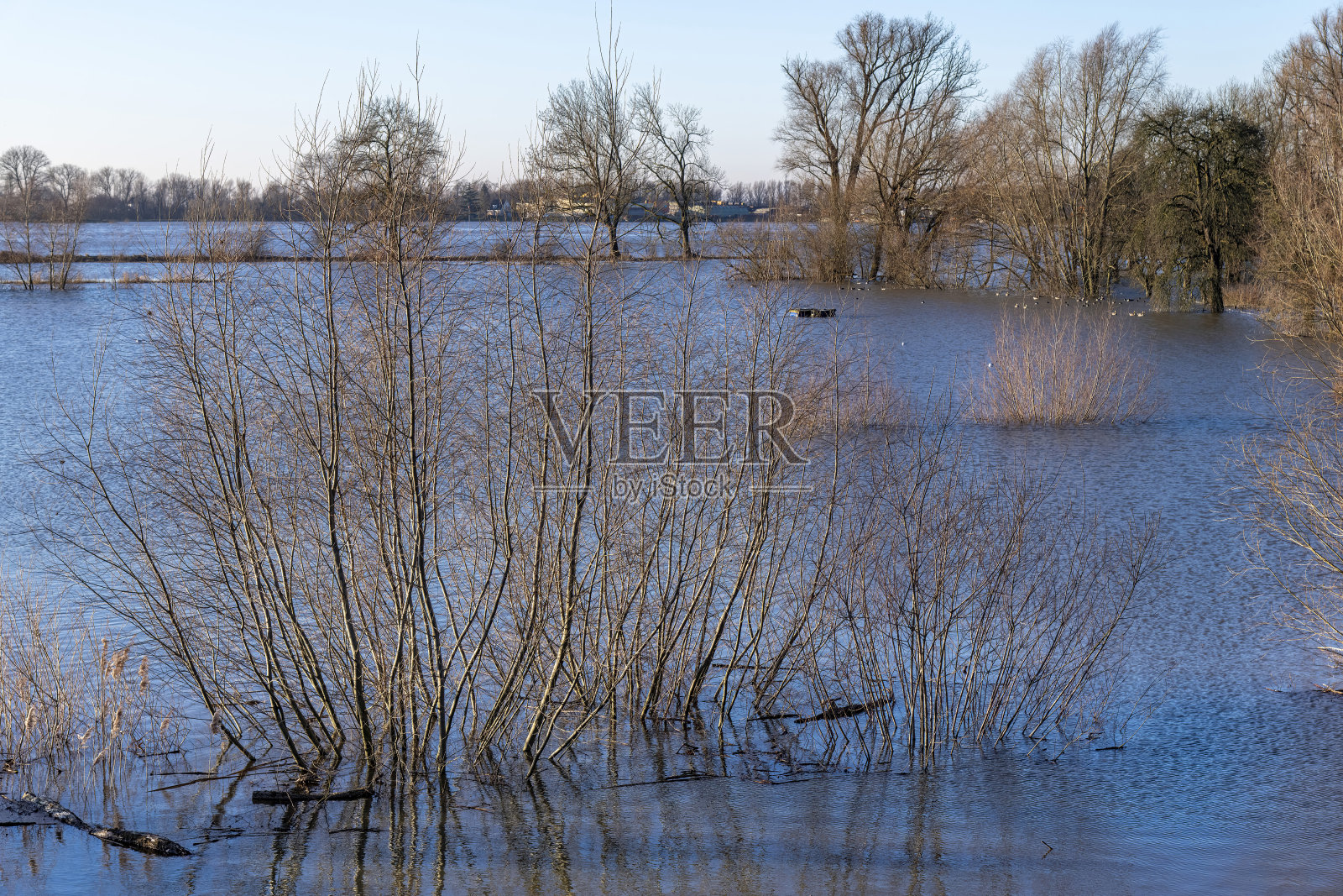 荷兰河流沿岸的洪泛平原照片摄影图片
