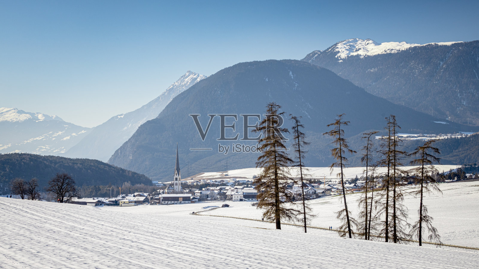 白雪覆盖的田野,松树和雄伟的山脉作为背景,奥地利蒂罗尔照片摄影图片