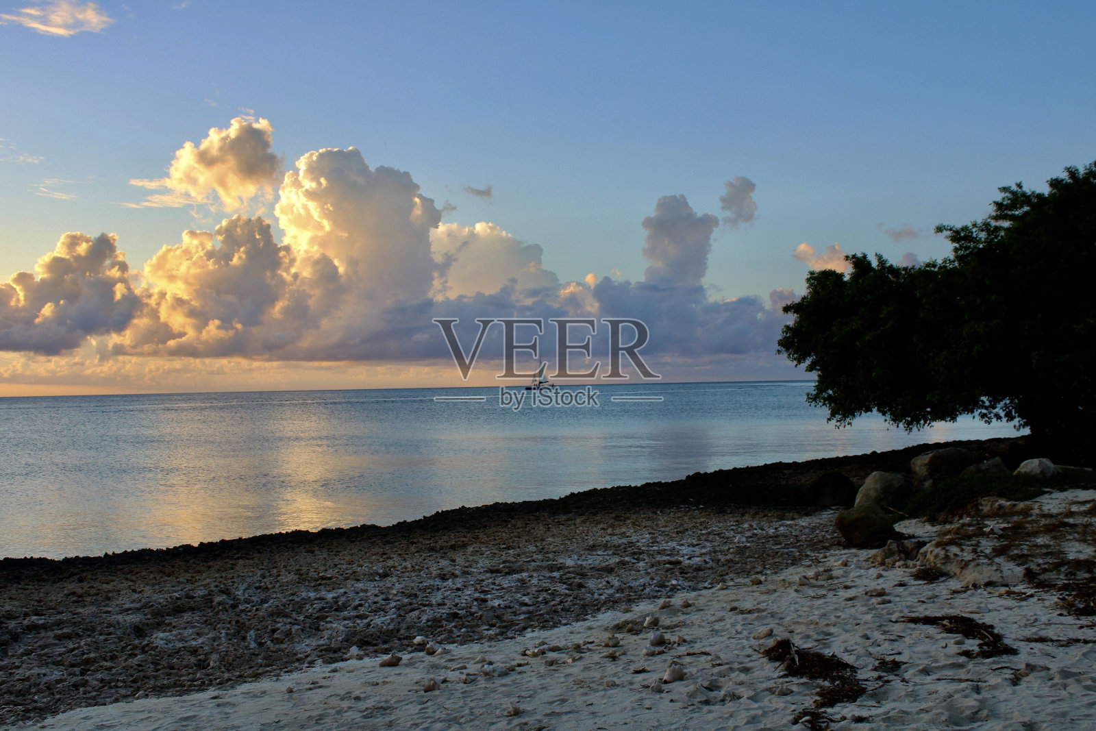 十一月的阿鲁巴日落照片摄影图片