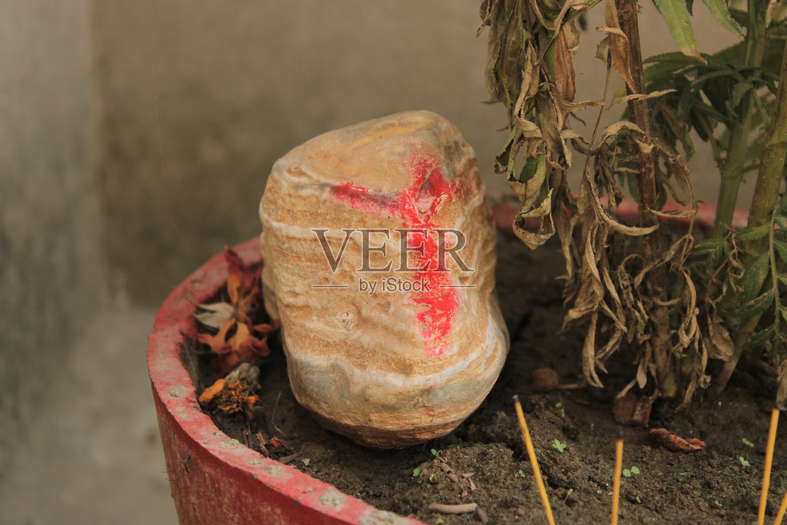 迪夫Shila照片摄影图片