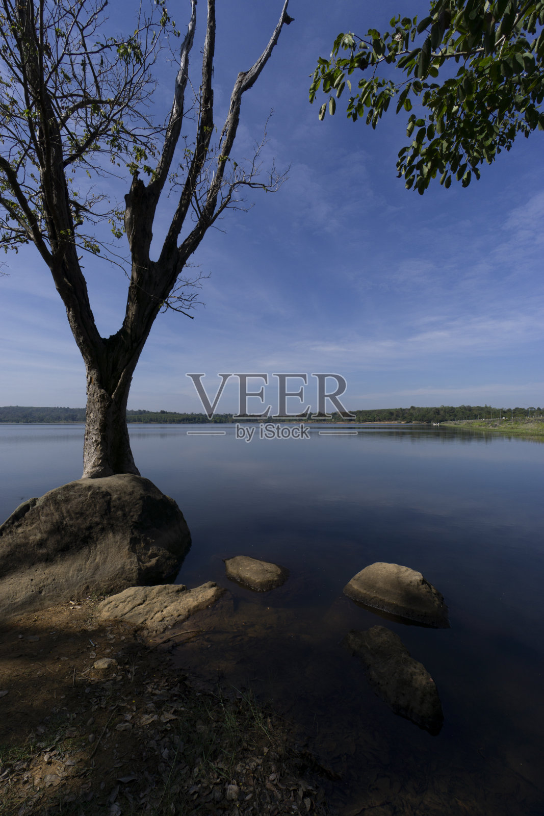 人工水库创造自然保护区,保护当地动植物照片摄影图片