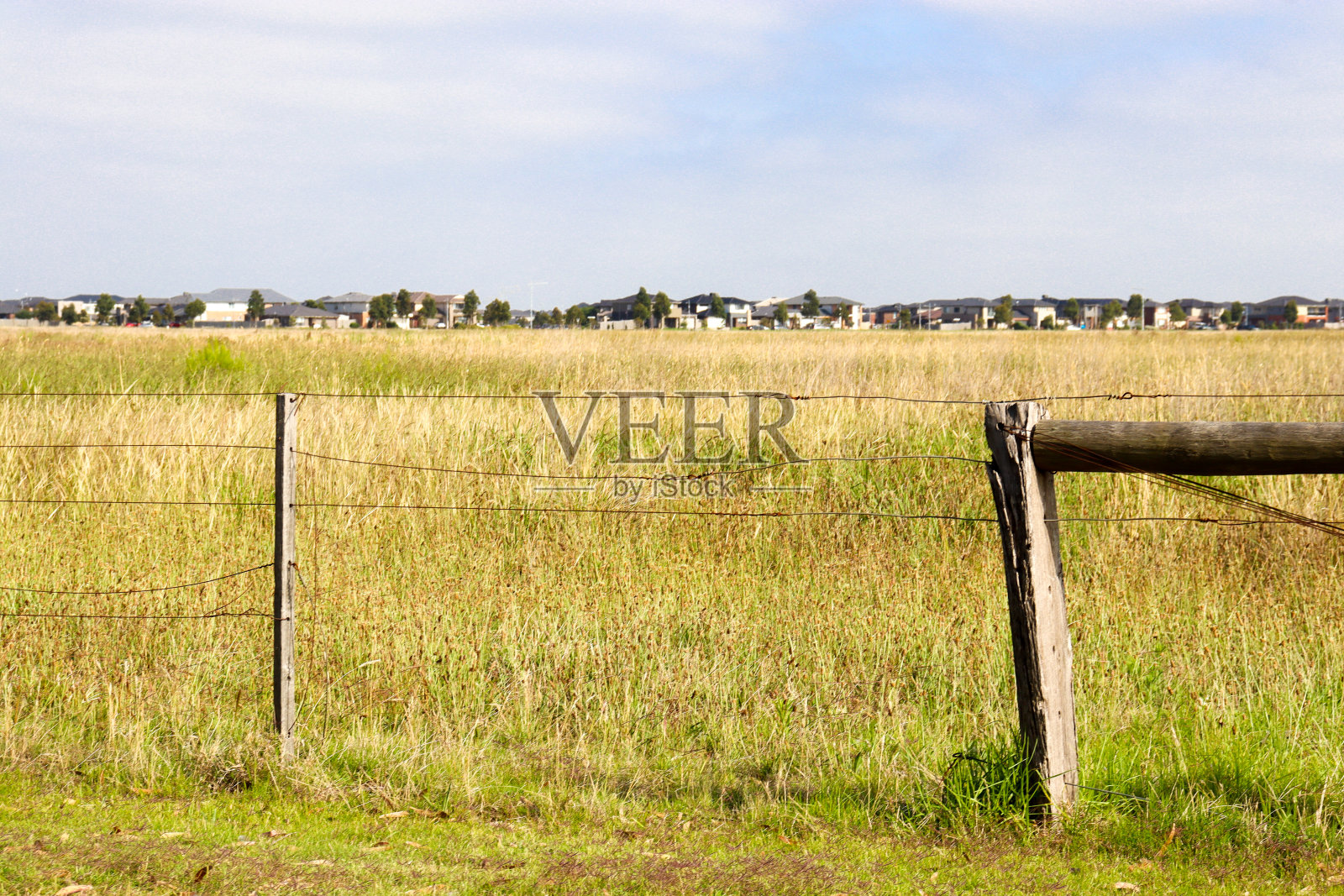墨尔本西郊长着长而干燥的夏季草和住宅区的田野照片摄影图片