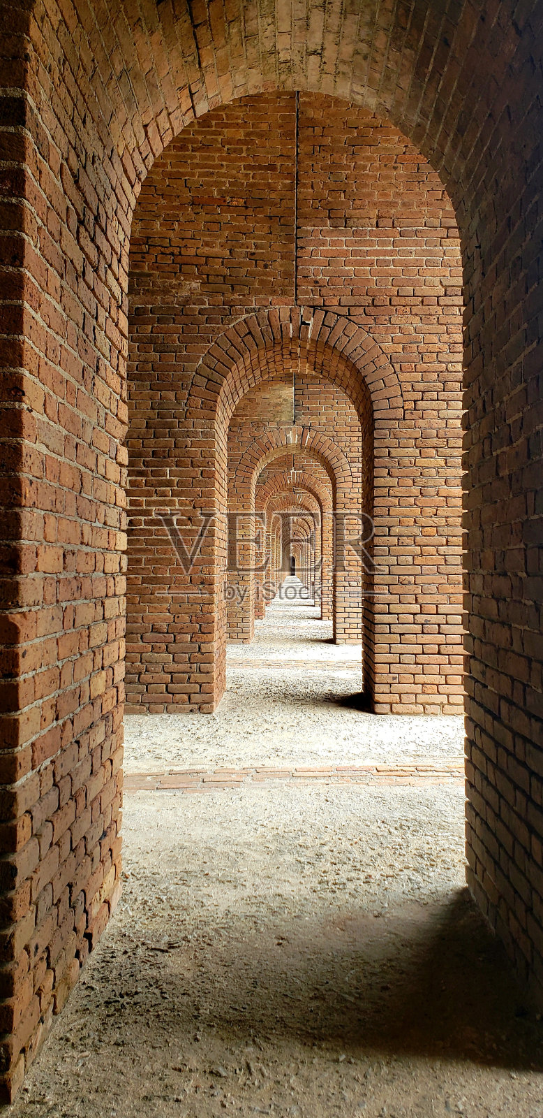 干基照片摄影图片