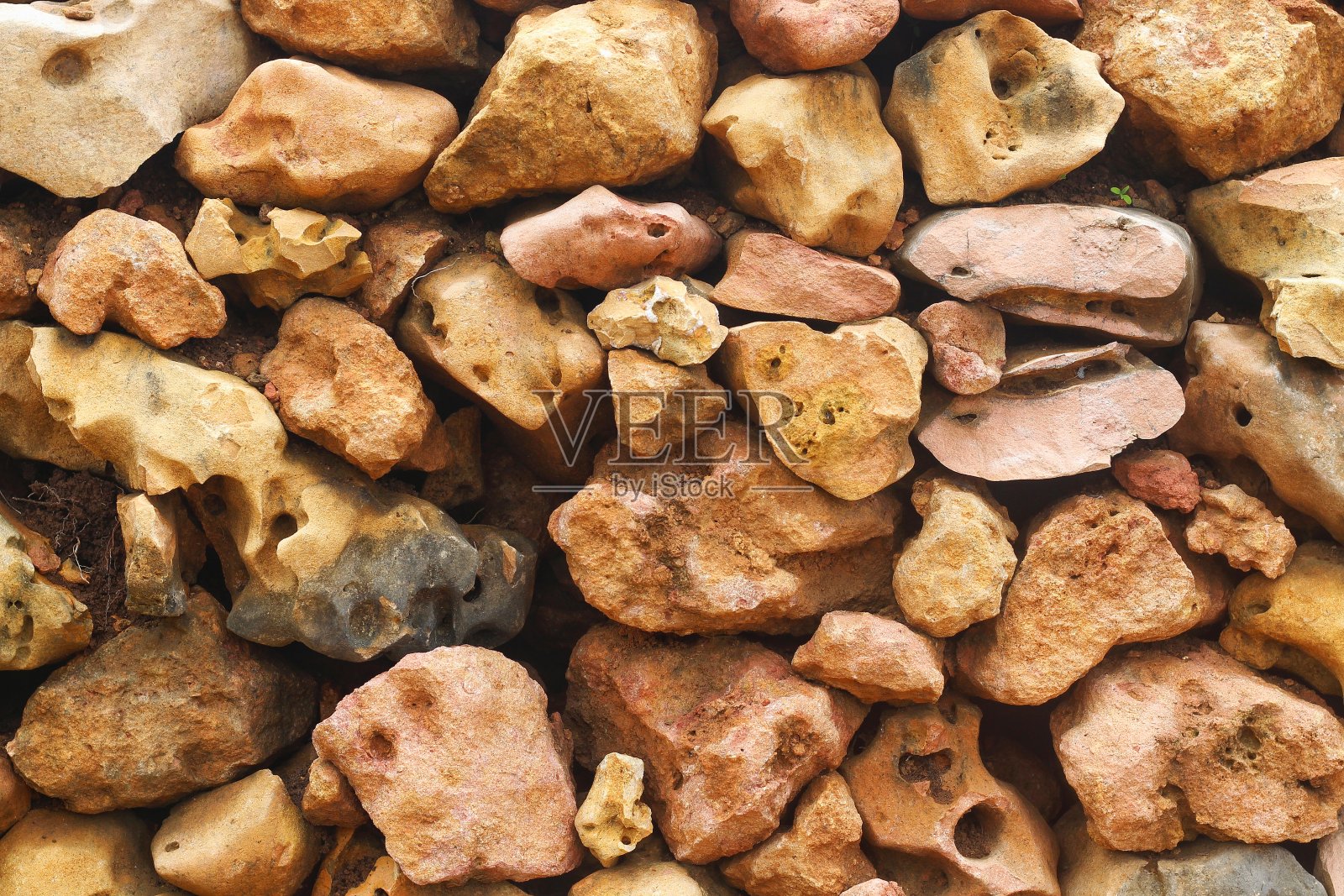 珊瑚岩照片摄影图片