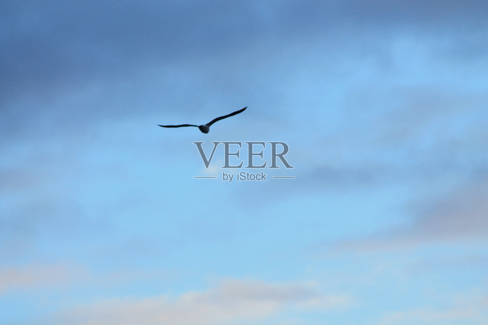 断言øySurondJan24照片摄影图片