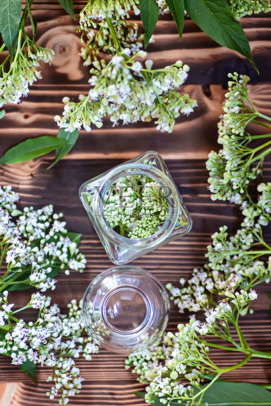 瓶新鲜植物缬草花。木桌上的缬草花。夏天采集药用植物。照片摄影图片