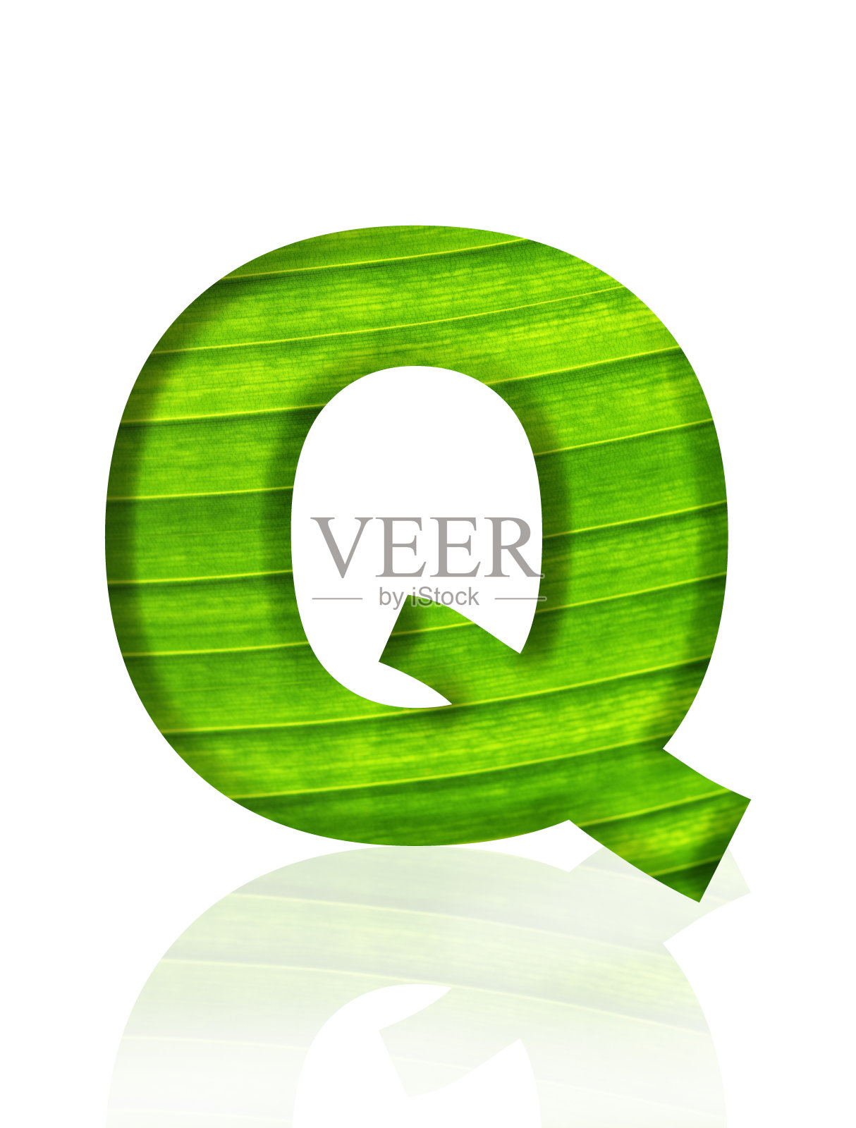白色背景上三维绿色叶脉字母Q的孤立镜头照片摄影图片