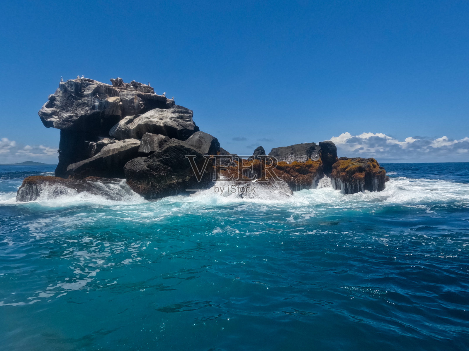 加拉帕戈斯群岛伊莎贝拉隧道之旅照片摄影图片